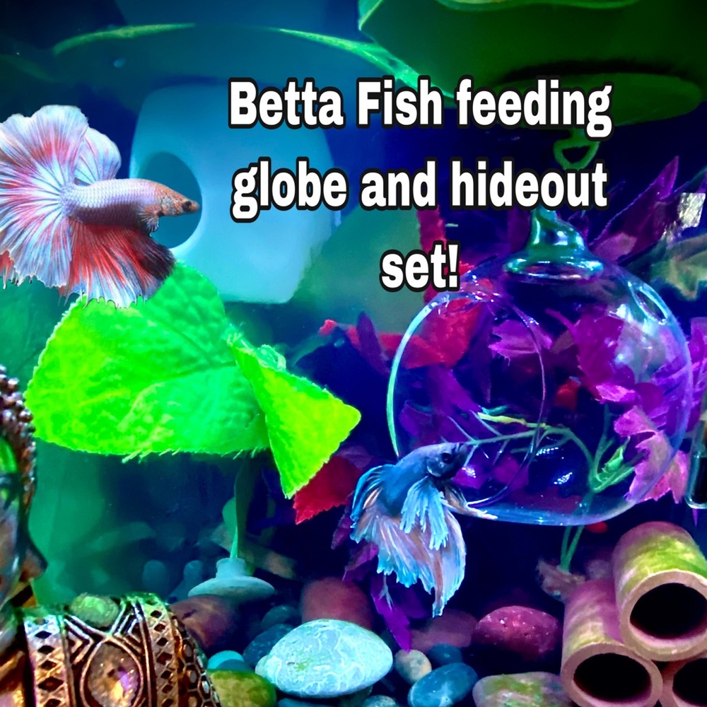 Free shipping Betta  hideout and feeding globe